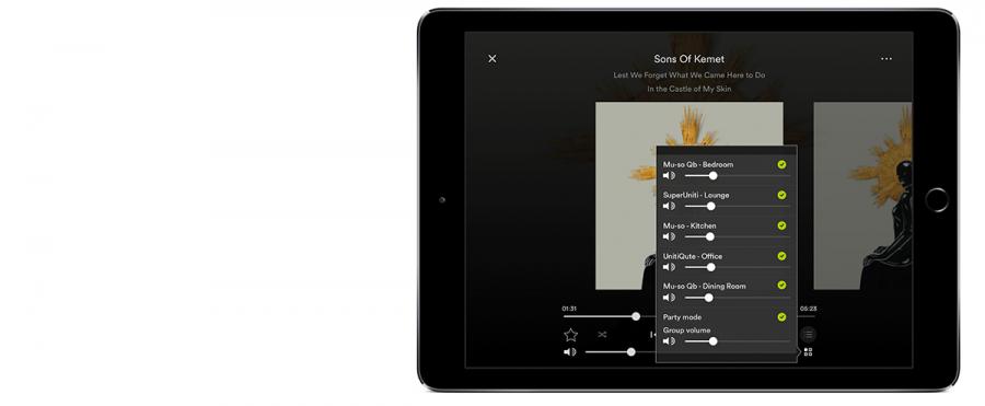 Naim Multiroom App