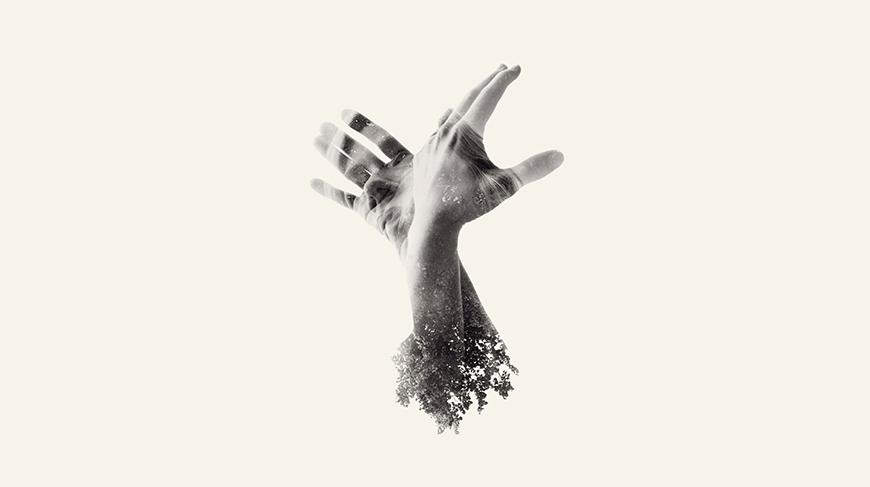 The Last Dinosaur - The Nothing